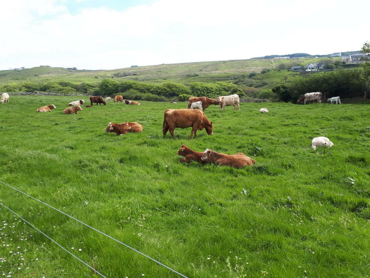 Doolin Farm Apartment Buitenkant foto